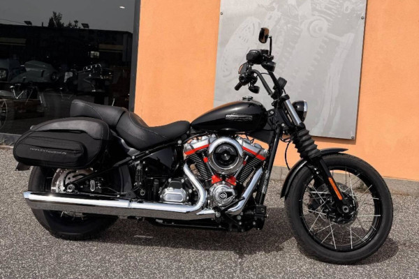 Street Bob 117 (2025 - 26)